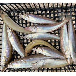 利用されたお客様イメージ